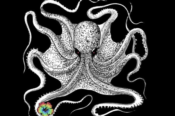 Kraken17 at сайт