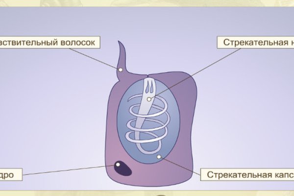 Кракен даркен
