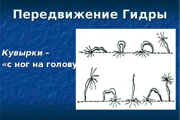 Клирнет ссылка на зеркало маркетплейс кракен