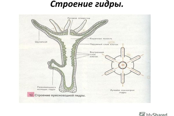Кракен тор krakendark krakendark link