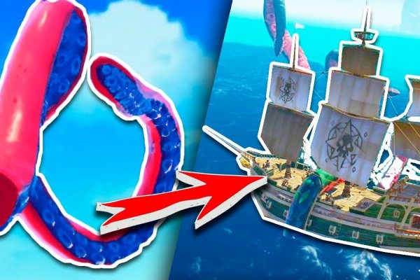 Kraken 24 top