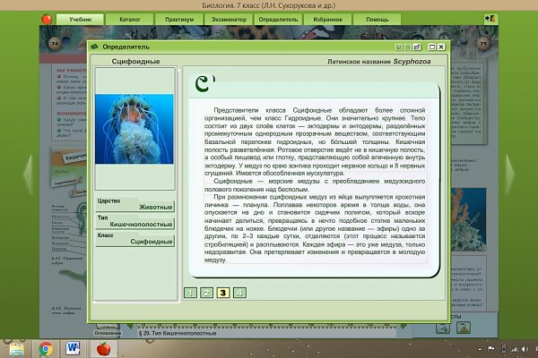 Кракен даркнет ссылка зеркало