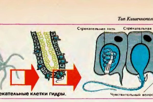Где купить наркоты
