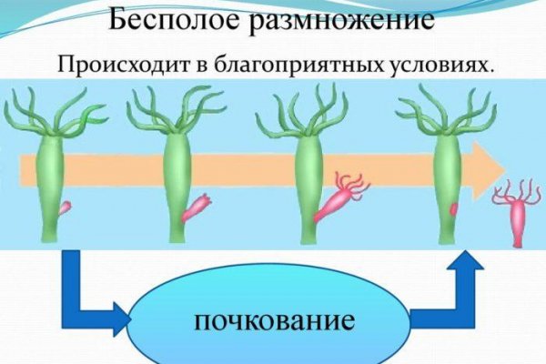 Кракен магазин зеркало