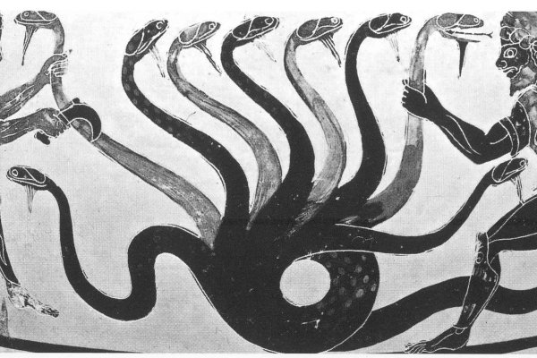 Kraken darknet sliv php