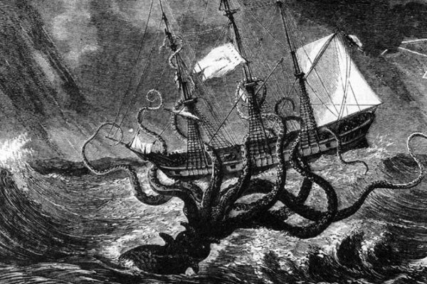 Kraken 12 at